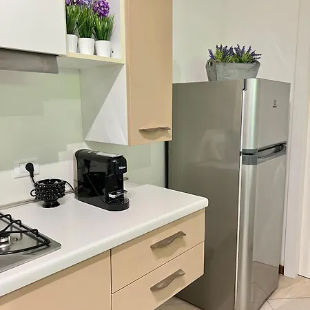 Le Naiadi 公寓 阿布鲁齐的罗塞托