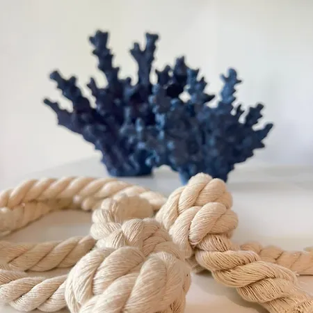 Le Naiadi 公寓 阿布鲁齐的罗塞托